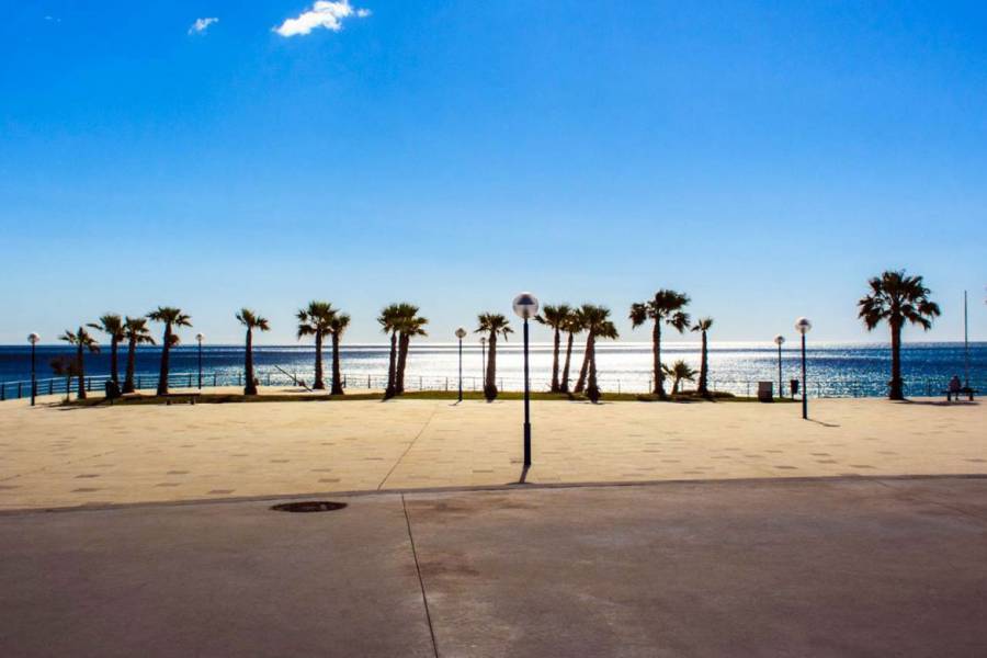 Obra Nueva - Penthouse - Playa Flamenca - Alicante