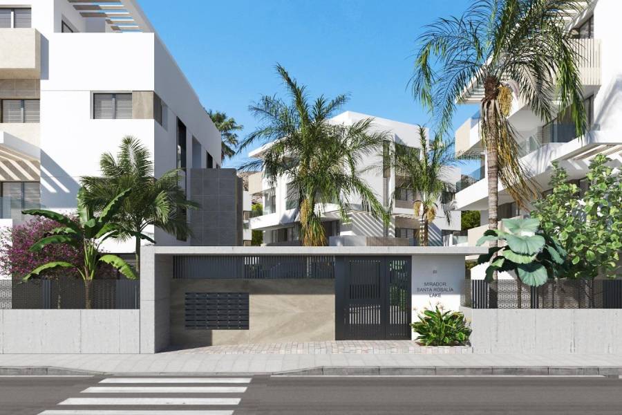 New Build - Penthouse - Roldan & Torre Pacheco