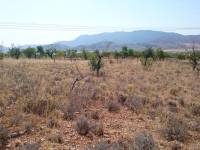 Re-sale - Country land - Hondon De Las Nieves - LA CANALOSA