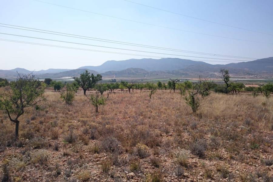 Re-sale - Country land - Hondon De Las Nieves - LA CANALOSA