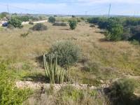 Re-sale - Country house - Albatera - ALBATERA