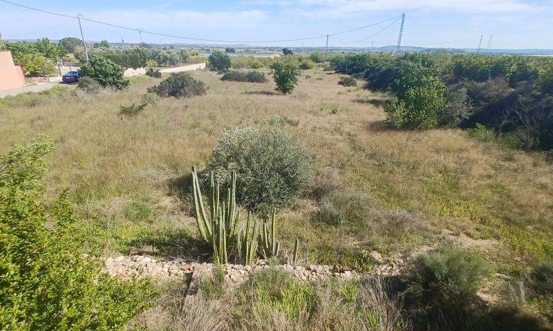 Re-sale - Country house - Albatera - ALBATERA