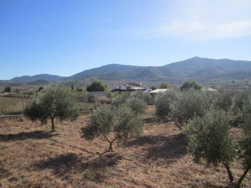 Re-sale - Country house - Hondon De Los Frailes - CASAS DE GALIANA