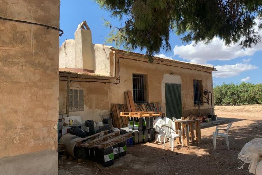 Venta - Casa de campo - Crevillent - BARRANCO SAN CAYETANO