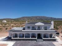 New Build - Villa - Pinoso