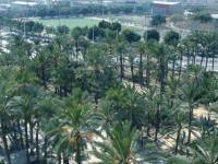 Venta - Apartamento - Elche