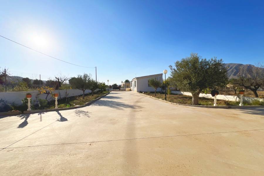 Re-sale - Country house - Hondon De Los Frailes - BARBAROJA