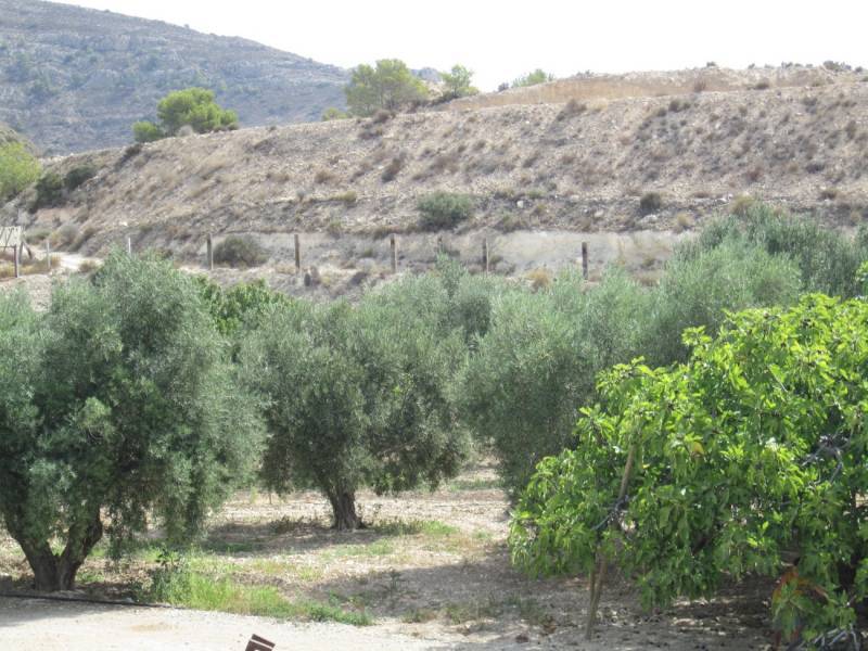 Re-sale - Cave house - Novelda