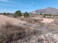 Venta - Casa de campo - Hondon De Los Frailes - BARBARROJA