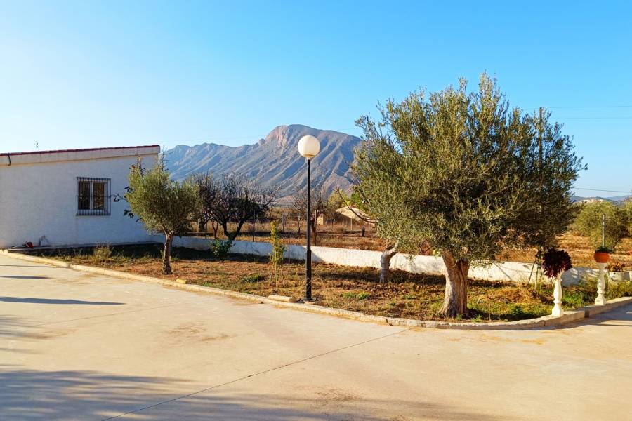 Re-sale - Country house - Hondon De Los Frailes - BARBAROJA
