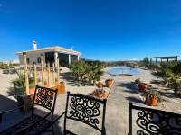 Obra Nueva - Chalet - Pinoso