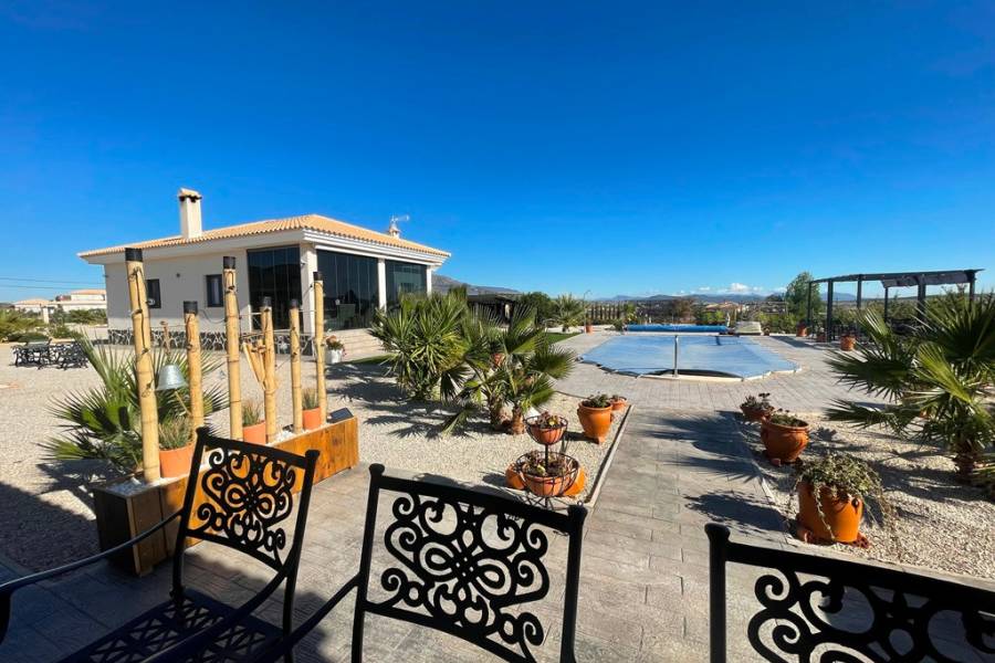 Obra Nueva - Chalet - Pinoso