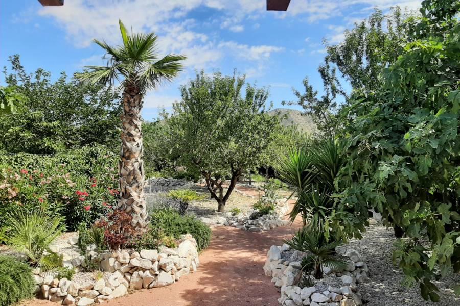 Re-sale - Country house - Barbarroja