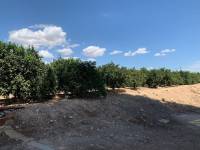 Venta - Casa de campo - Crevillent - BARRANCO SAN CAYETANO