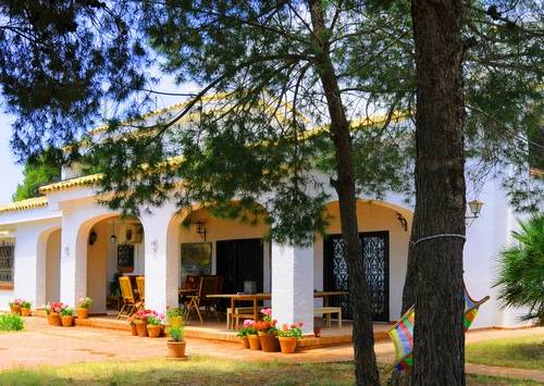 Casa de campo - Venta - Elche - Elche