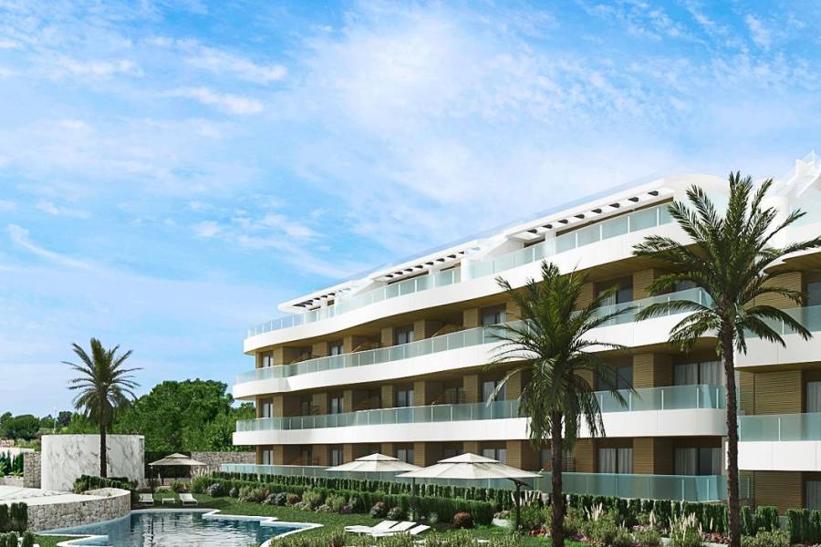 Obra Nueva - Apartamento - Playa Flamenca - Alicante