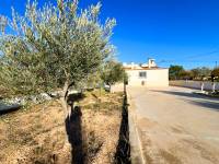 Re-sale - Country house - Hondon De Los Frailes - BARBAROJA
