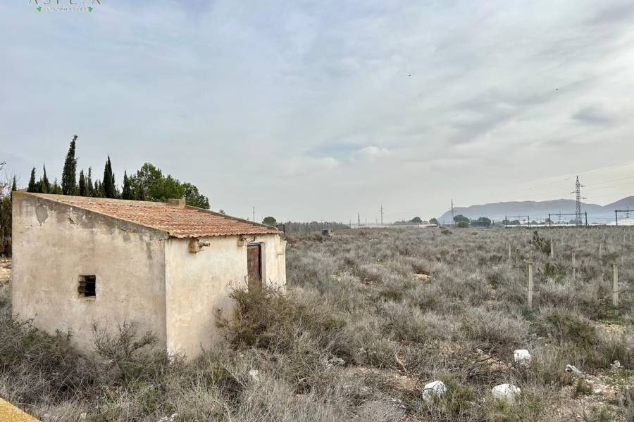 Re-sale - Plot - Monforte Del Cid - GABARRERA