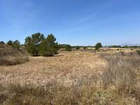 Venta - Plot - Barbarroja