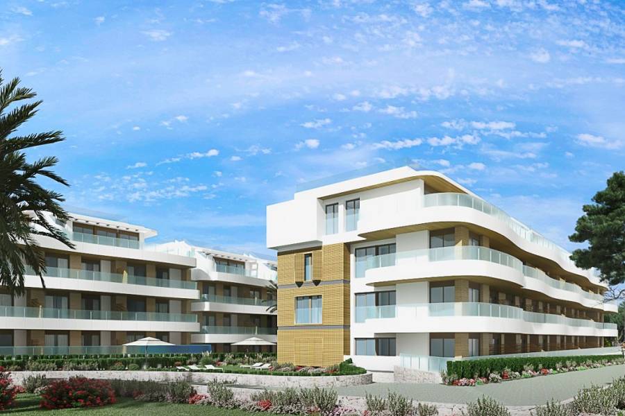Obra Nueva - Apartamento - Playa Flamenca - Alicante