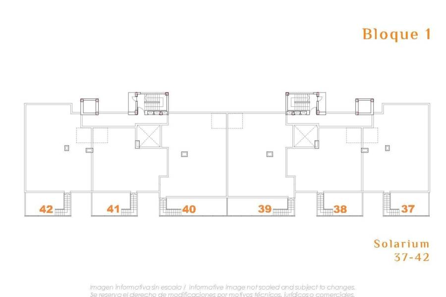 New Build - Penthouse - San Miguel de Salinas - San Miguel De Salinas