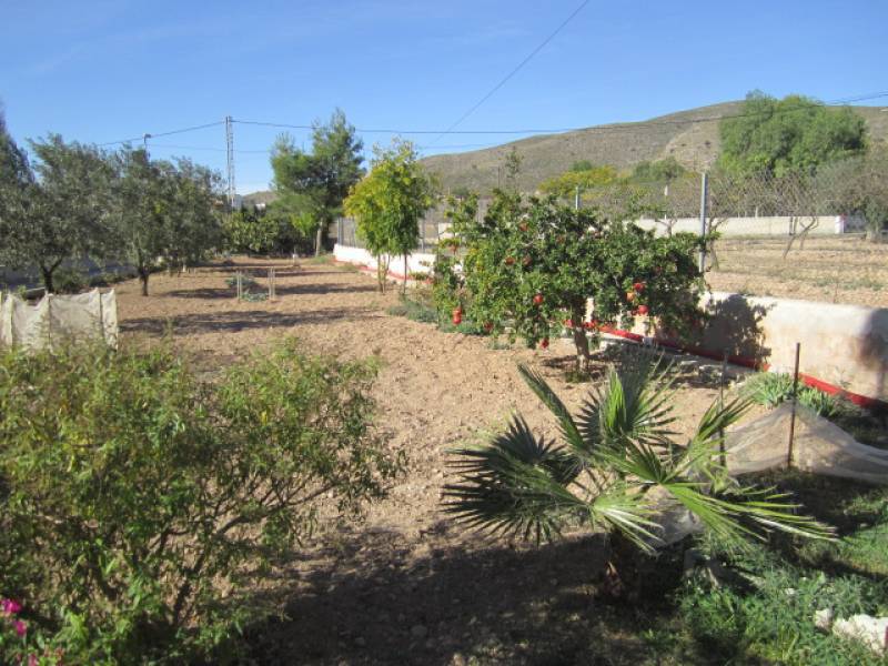 Re-sale - Country house - Hondon De Los Frailes - CASAS DE GALIANA