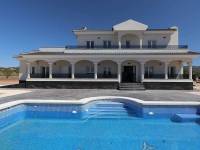 New Build - Villa - Pinoso
