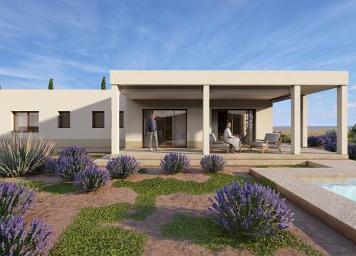 Country house - New Build - Pinoso - Pinoso