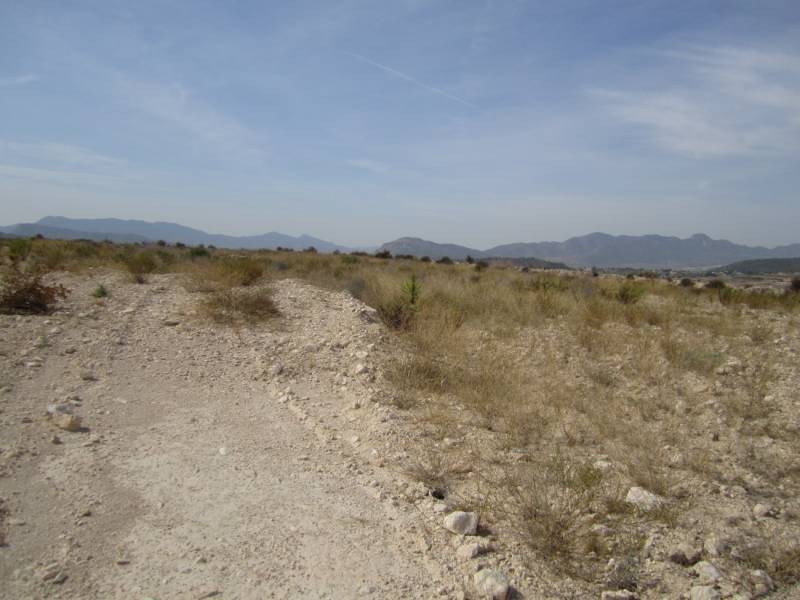 Re-sale - Cave house - Novelda