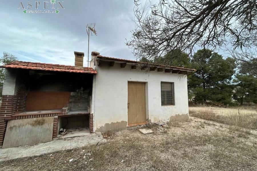 Venta - Casa de campo - Aspe