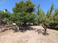 Venta - Casa de campo - Aspe