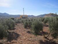 Re-sale - Country house - Hondon De Los Frailes - CASAS DE GALIANA