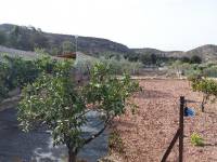 Venta - Casa de campo - Elda