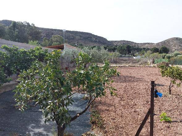 Venta - Casa de campo - Elda
