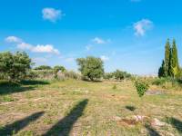 Re-sale - Country house - Mutxamel