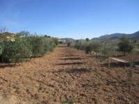 Re-sale - Country house - Hondon De Los Frailes - CASAS DE GALIANA