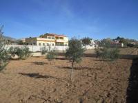 Re-sale - Country house - Hondon De Los Frailes - CASAS DE GALIANA