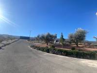 Venta - Casa de campo - Petrer - Loma badá