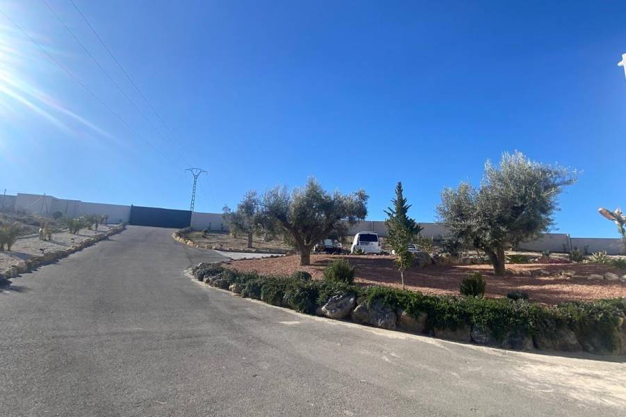 Venta - Casa de campo - Petrer - Loma badá