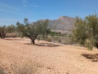 Re-sale - Country house - Hondon De Los Frailes - BARBARROJA