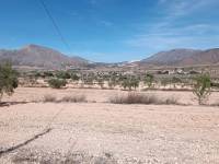 Venta - Casa de campo - Hondon De Los Frailes - BARBARROJA