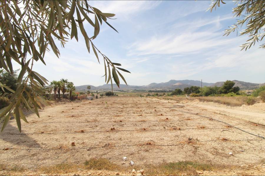 Re-sale - Country house - Aspe - Alcaná