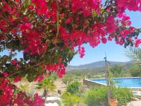 Re-sale - Country house - Hondon De Las Nieves