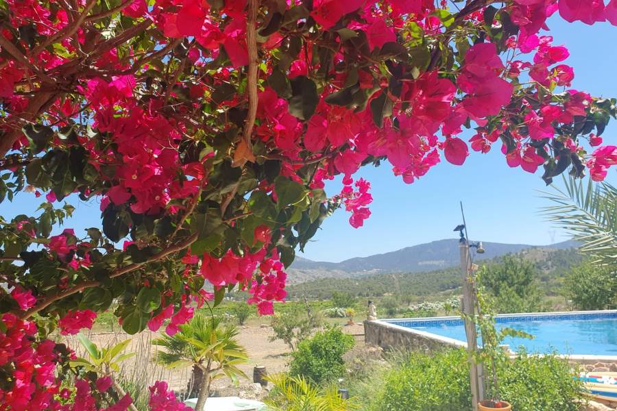 Re-sale - Country house - Hondon De Las Nieves