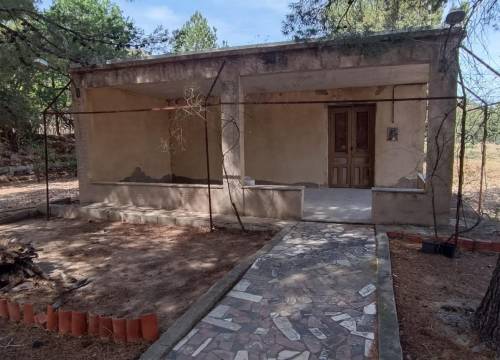 Casa de campo - Venta - Aspe - Aspe