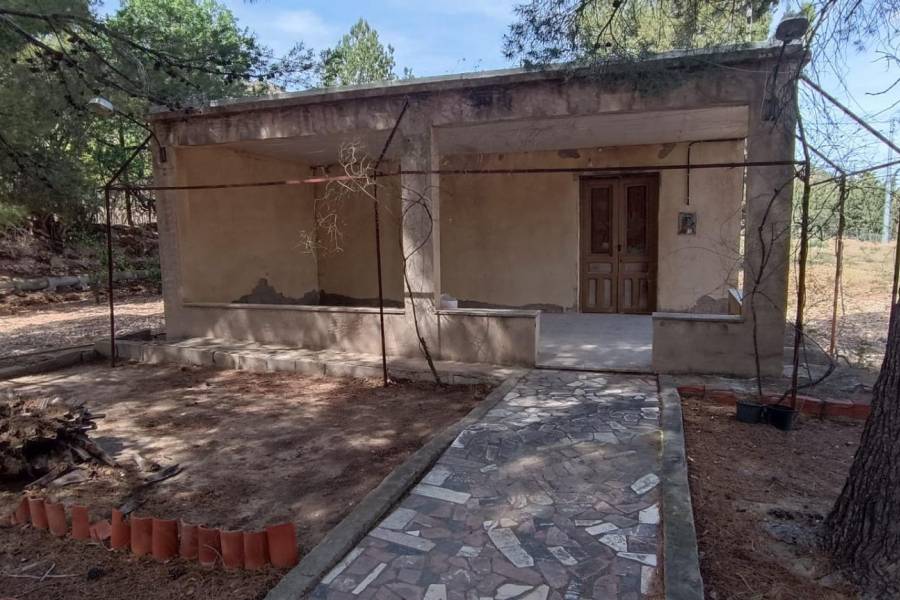 Venta - Casa de campo - Aspe