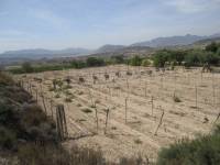 Re-sale - Cave house - Novelda