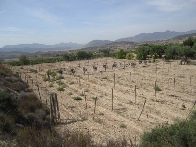 Re-sale - Cave house - Novelda