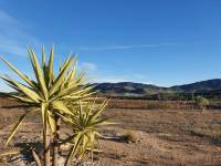 Re-sale - Country house - Hondon De Las Nieves