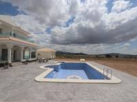 Obra Nueva - Chalet - Pinoso